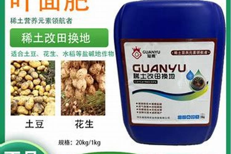 芋头抗旱早上好还是晚上好