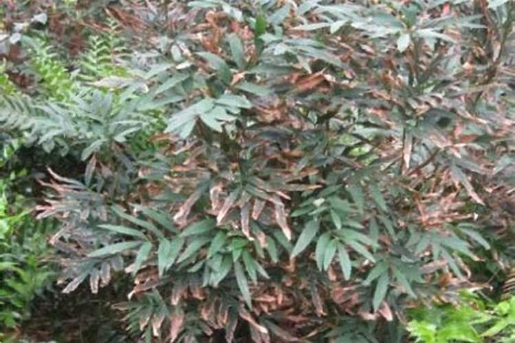 高炉渣磨粉在行业的用途