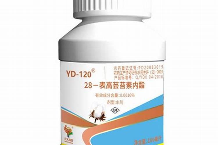 紫藤树什么时间移栽最好