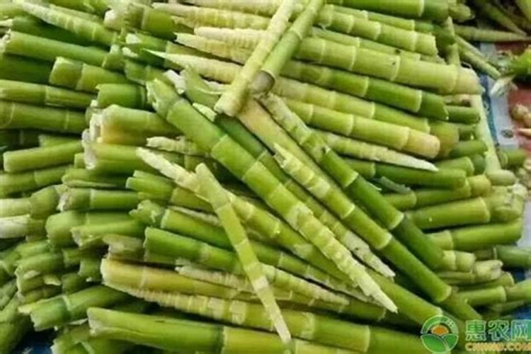 20%的尿素霜可以擦脸吗