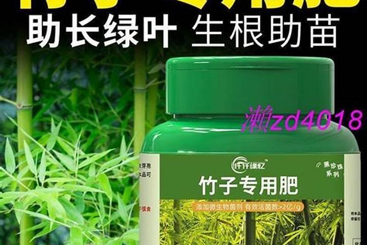 夏威夷竹子怎么养才能更旺盛