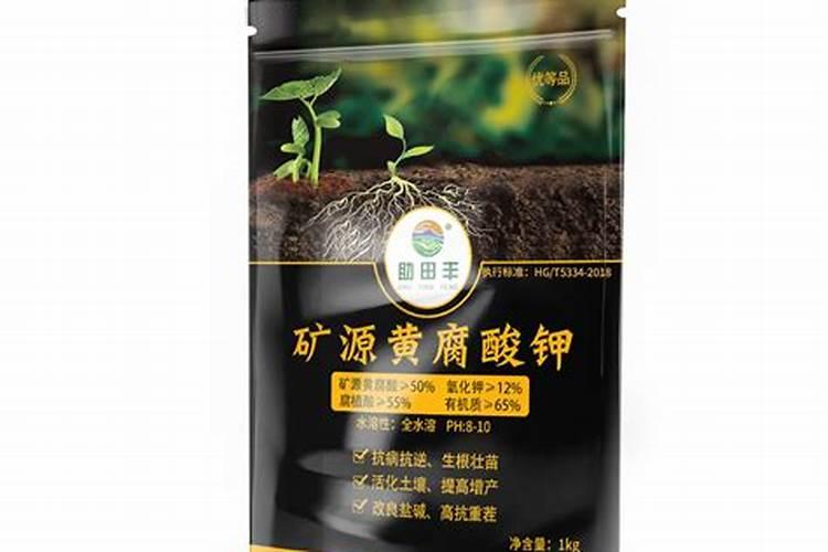 黄瓜打药的时候,究竟该对着叶子还是果实？为什么？