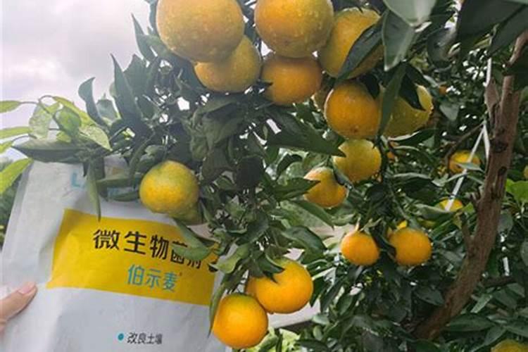 土壤铬污染对农作物有哪些影响