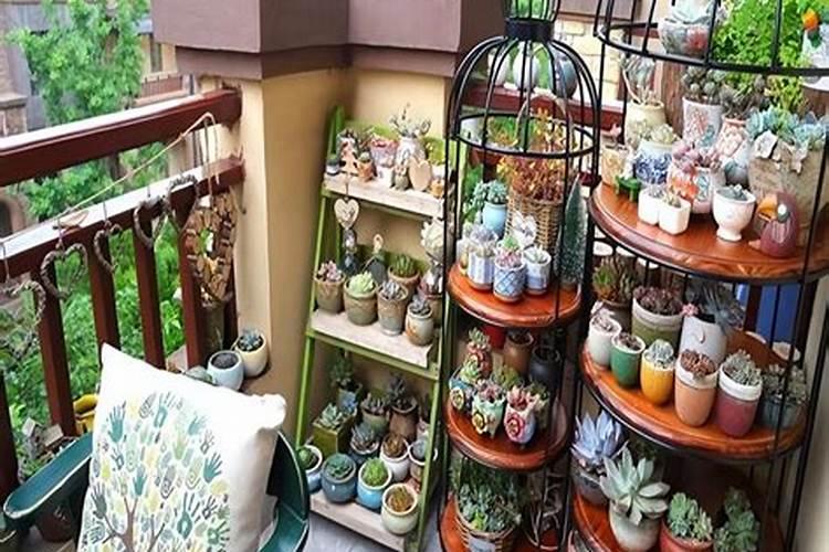 养花是先浇水还是先施肥