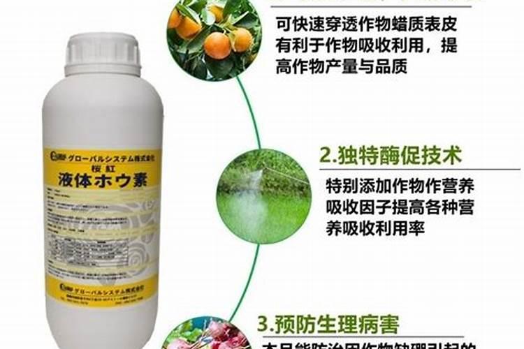 植物生根有专用叶面肥吗？生根剂可以直接浇灌吗？