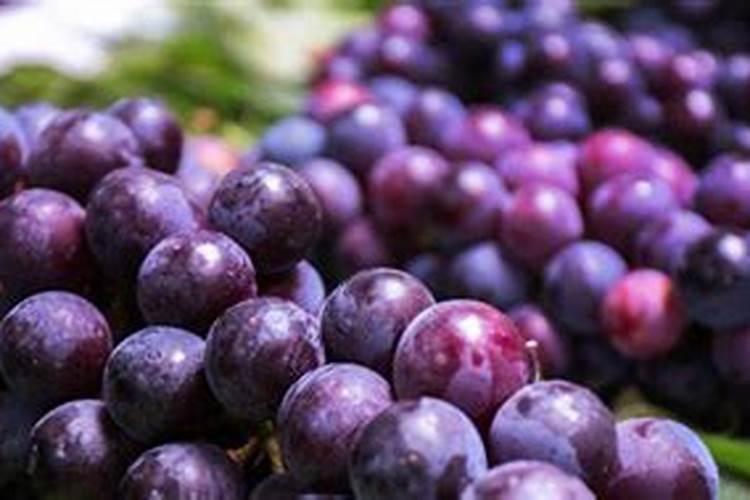 柑橘补锌方法 可以采取什么办法呢