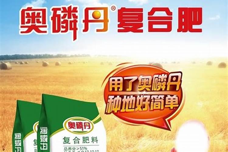 三农股票有哪些龙头股？