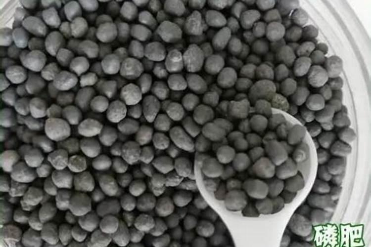 油菜什么时候施硼肥最好