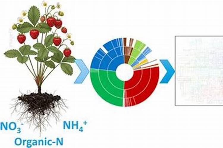 微生物菌剂不能和什么肥一起用