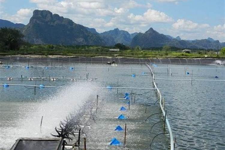 如何自制磷钾肥