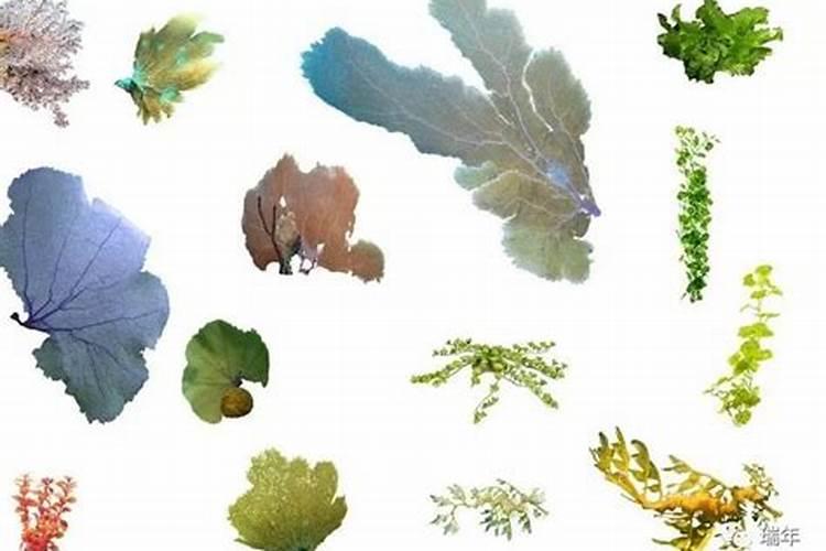 高磷水溶肥主要作用有哪些