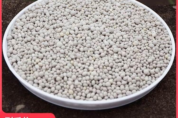 磷肥适合什么花卉