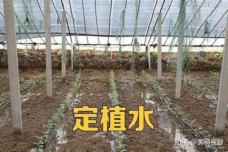 500克的药用水体深一米2亩的鱼塘请问一吨水用多少克药