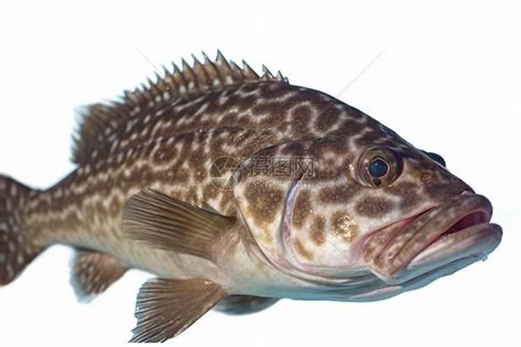 大海有什么宝藏？