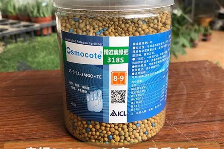 葡萄转色期水肥怎么管理？