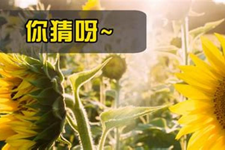 冬天零下几度,太阳能是加水好还是不加水好？