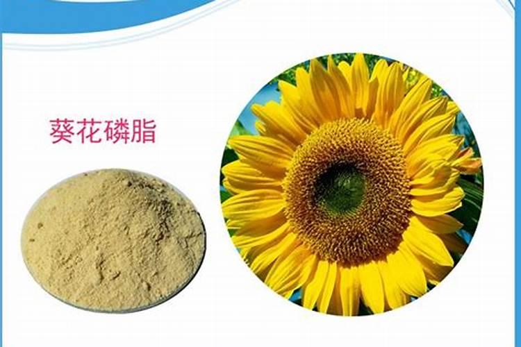 葵花怎么追肥,该追含哪些元素的肥料？