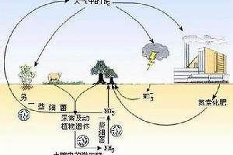不管种植青萝卜、白萝卜还是红萝卜,肥料这样用,高产又好吃