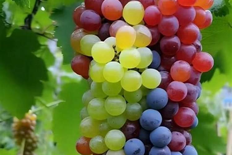 润丰水泥的优点和缺点