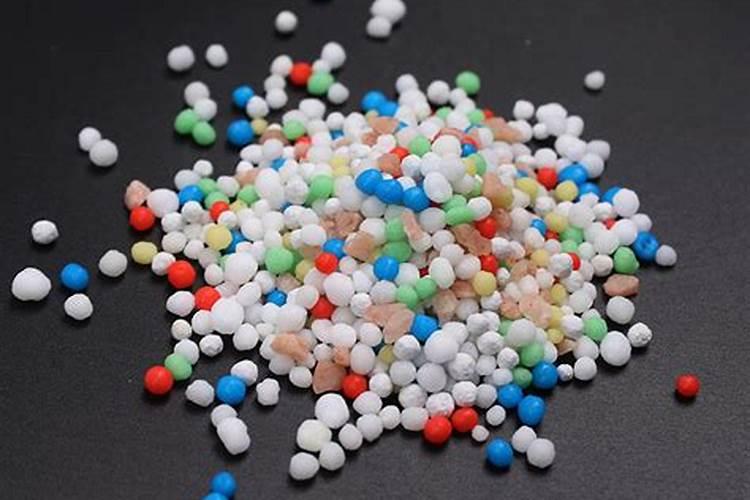 彩色马蹄莲为什么不能复花