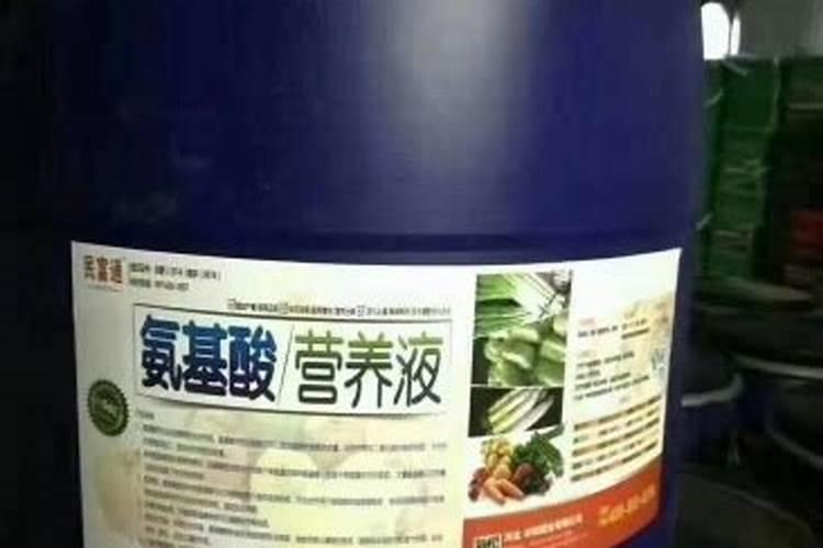 小麦发黄死苗如何防治,一亩小麦用多少芸苔素