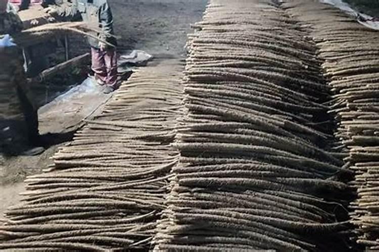 柑橘结果期冲施什么肥料好？柑橘保花保果用什么水溶肥好？