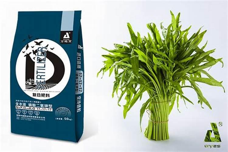 空心菜喜欢什么肥料