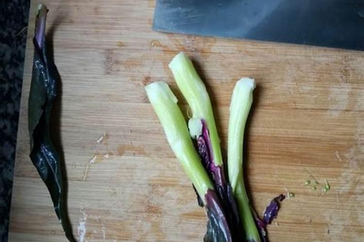 红菜苔种植时间和方法