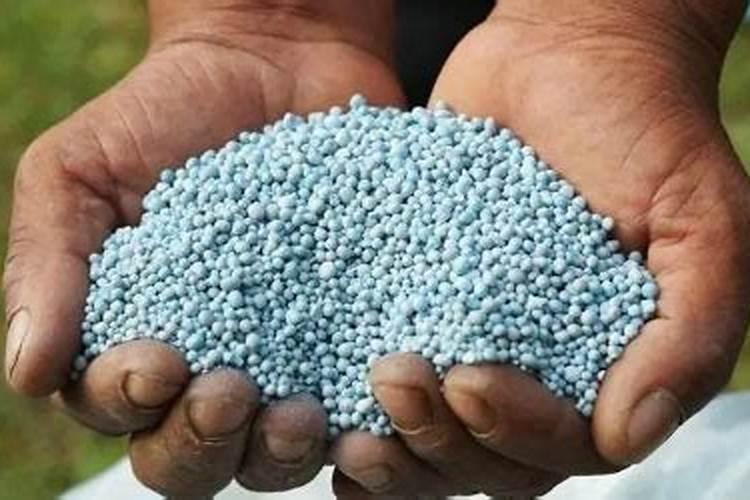 水溶肥复合肥烧根吗