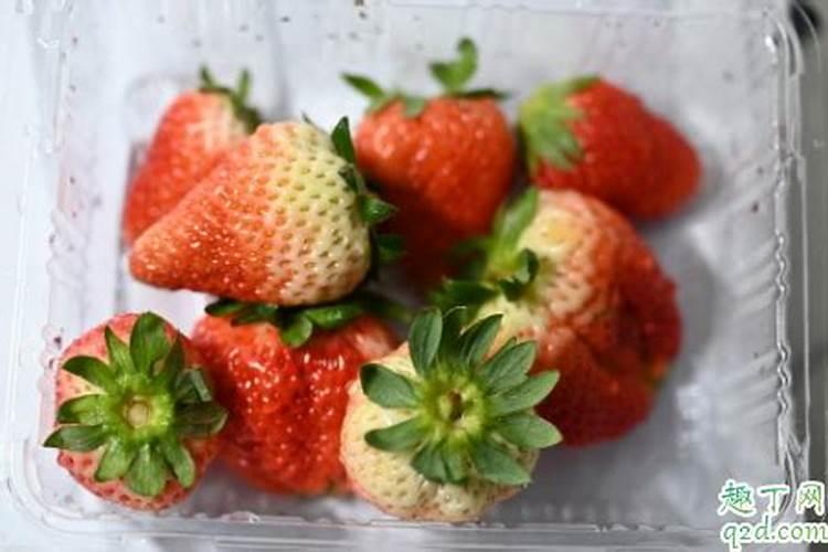 熟黄豆可以给花施肥 熟黄豆是不是可以给花施肥