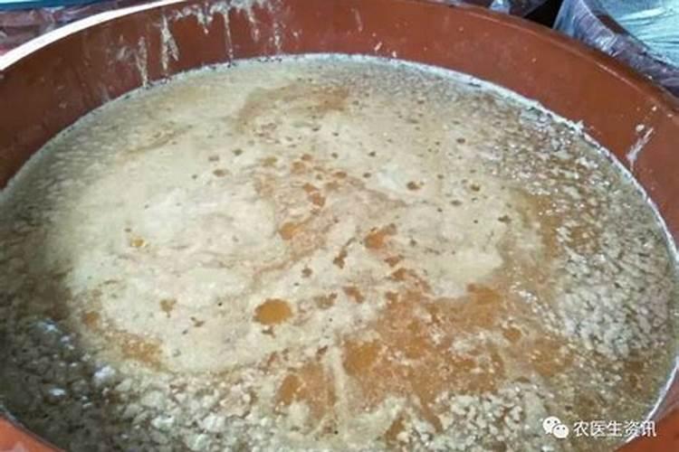 西红柿移栽可以用菌液吗？