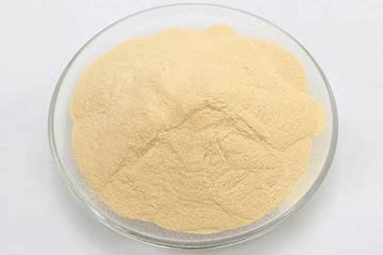 红菜苔种植时间和方法是什么