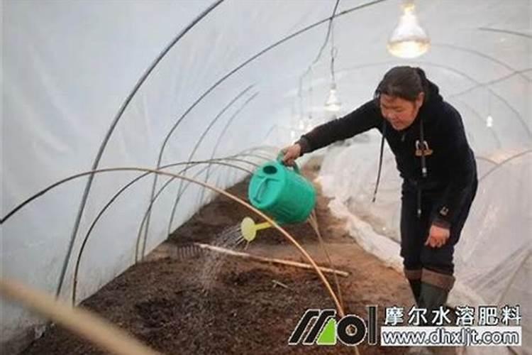 氮肥磷肥钾肥有哪些