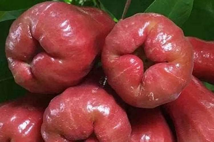 使用磷肥时应注意什么,为什么？初中化学