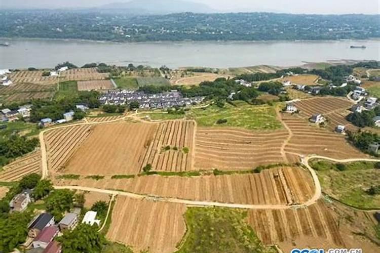 氮肥养花使用方法