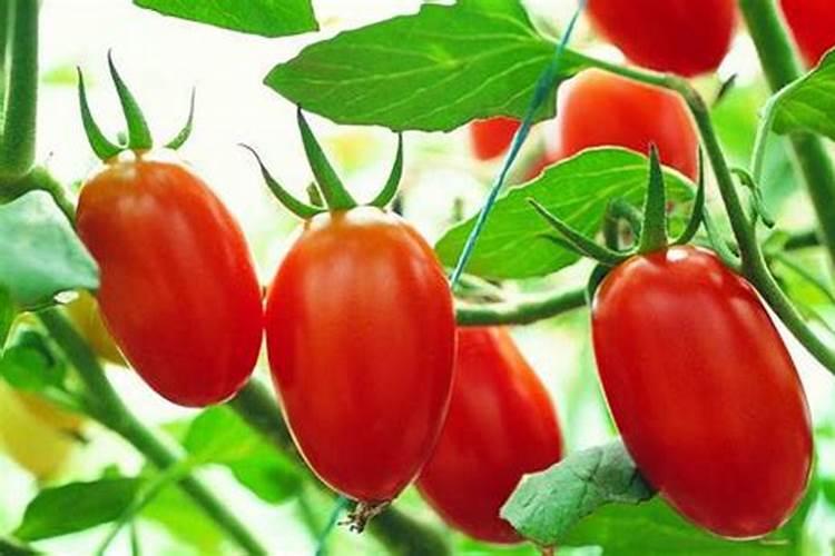 蓝色庄园增效氮肥简介