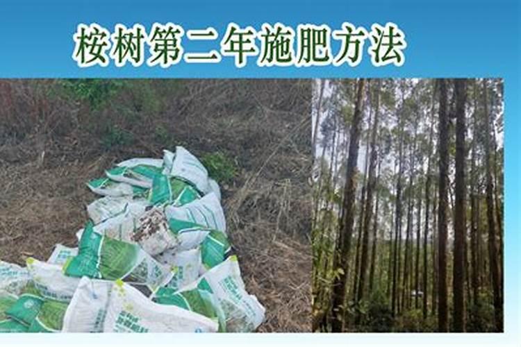 种一亩蒜利润多少？