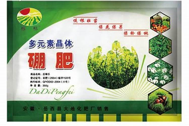 柑橘几月份可以用碳氨？