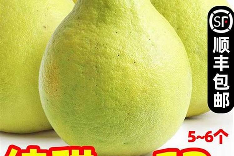 柚子种植期间,需要做哪些工作？