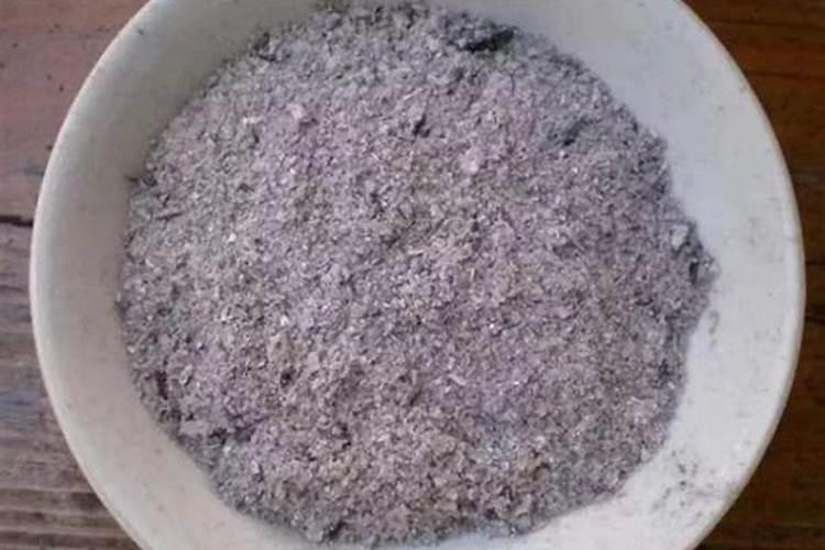 蟹爪兰打花苞怎么浇水施肥