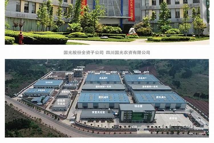 四川叶面肥农药厂家10强有哪些