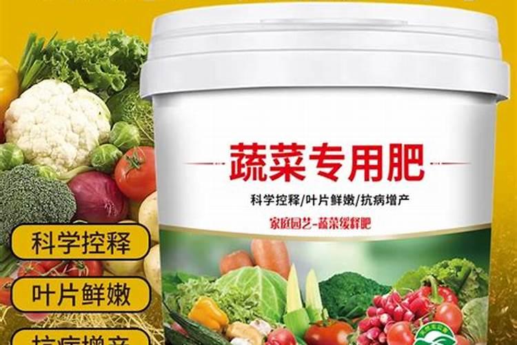 香菜用什么土方法施肥最好