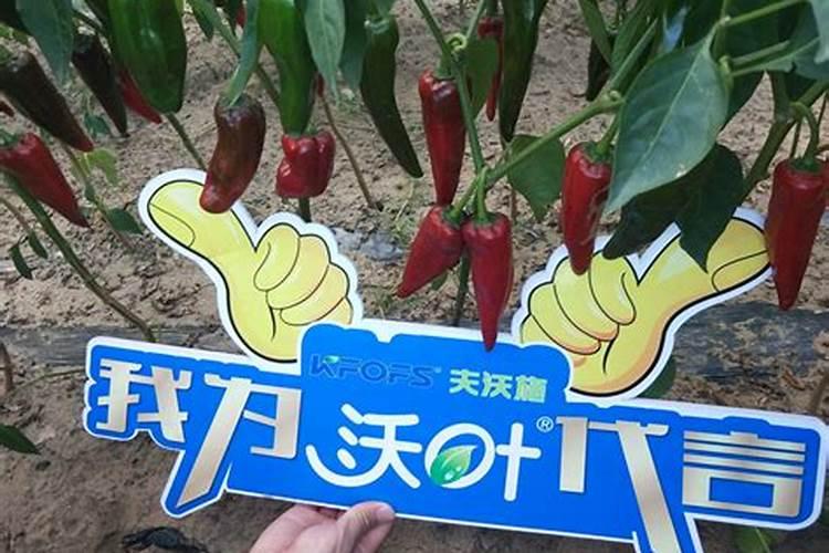 钾肥有哪些 钾肥是什么