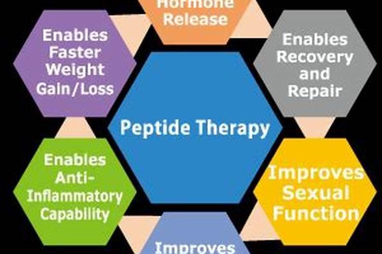 利用塑料大棚种植蔬菜可以改善什么条件