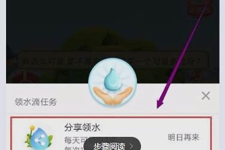 怎样给月季花上花肥