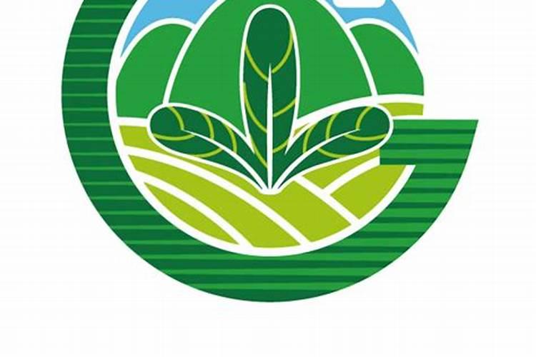 芹菜专用叶面肥哪个品牌好？叶面肥多久用一次？叶面肥价格多少钱？