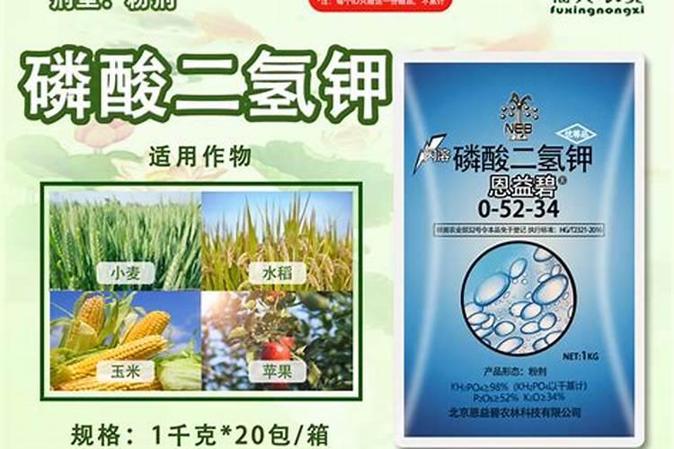 玉米锌肥叶面喷施用量