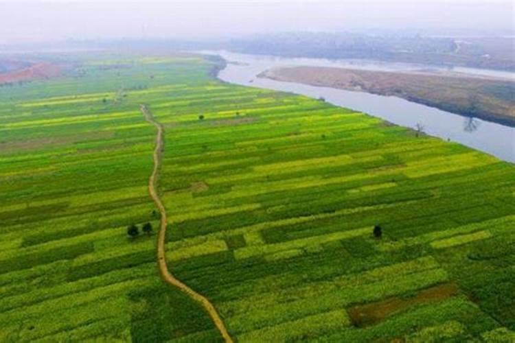 硝酸磷肥价格多少