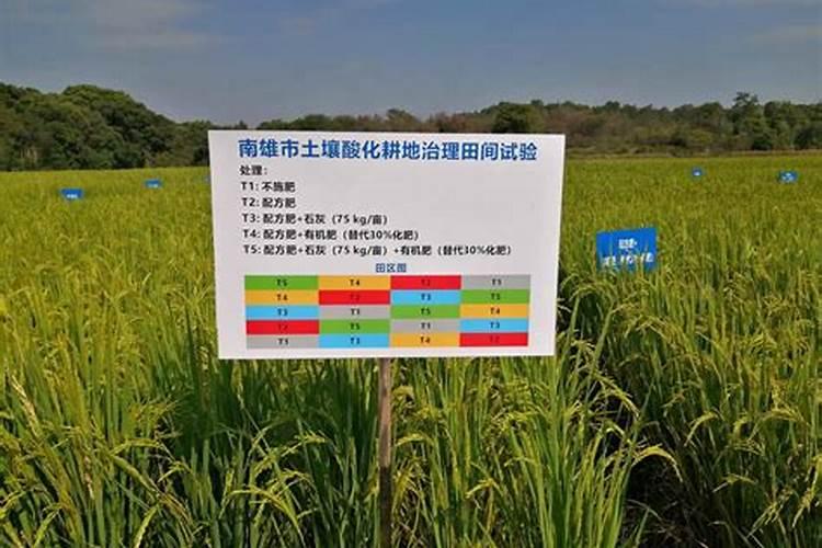 酸性土壤改良方法用什么肥