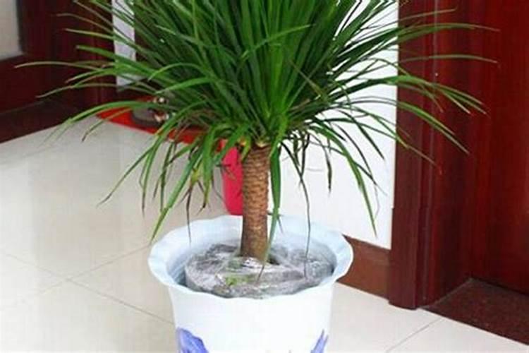 果树开花前不补硼,果农一年瞎忙活,硼肥有多重要？